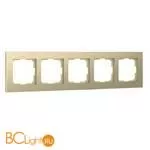 Рамка на 5 постов (шампань алюминий) Werkel Aluminium W0051711 a052316