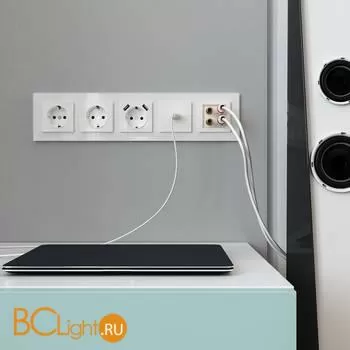 Акустическая розетка (белый) Werkel W1185001 a051140 - Фото 3