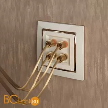 Акустическая розетка (слоновая кость) Werkel W1185003 a051468 - Фото 0