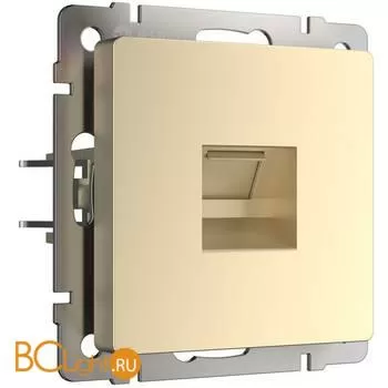 Розетка Ethernet RJ-45 (шампань) Werkel W1181011 a050873