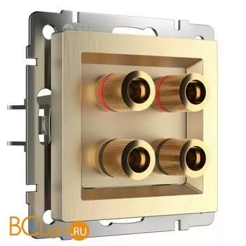 Акустическая розетка (шампань рифленый) Werkel W1185010 a051421