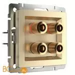 Акустическая розетка (шампань рифленый) Werkel W1185010 a051421