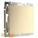 Заглушка (шампань рифленый) Werkel W1159210 a051417