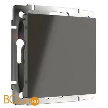 Заглушка (серо-коричневый) Werkel W1159207 a050836