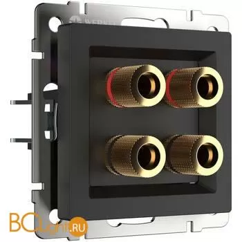 Акустическая розетка (черный матовый) Werkel W1185008 a051614