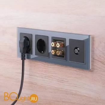 Акустическая розетка (черный матовый) Werkel W1185008 a051614 - Фото 3