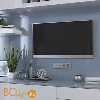 Накладка для RJ-11 (серебряный) Werkel Hammer W1292006 a052070 - Фото 0