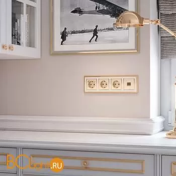 Накладка для розетки USB (шампань рифленый) Werkel W1179510 a051422 - Фото 0