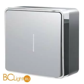 Выключатель одноклавишный с подсветкой (серебряный) Werkel Gallant W5010106 a052766