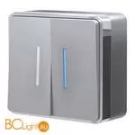 Выключатель двухклавишный с подсветкой (серебряный) Werkel Gallant W5020106 a052770