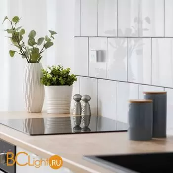 Выключатель двухклавишный с подсветкой (белый) Werkel Gallant W5020101 a051586 - Фото 1