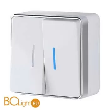 Выключатель двухклавишный с подсветкой (белый) Werkel Gallant W5020101 a051586