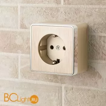 Розетка с заземлением и шторками (шампань рифленый) Werkel Gallant W5071110 a051047 - Фото 0