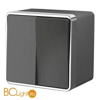 Выключатель двухклавишный влагозащищенный (графит рифленый) Werkel Gallant W5020204 a051336