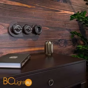 Переключатель одноклавишный (коричневый) Werkel Retro W5612014 a051057 - Фото 3