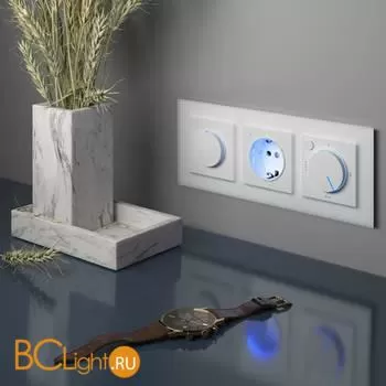 Розетка с заземлением и подсветкой (белая) Werkel W1171401 a051125 - Фото 2