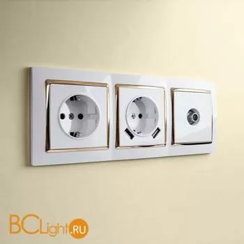 Розетка с заземлением, шторками и USBх2 (белая) Werkel W1171501 a051141 - Фото 4