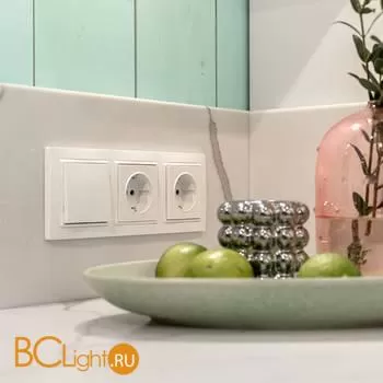 Розетка с заземлением (белая) Werkel W1171001 a051127 - Фото 1