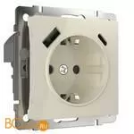 Розетка с быстрой зарядкой USB Type A+С слоновая кость Werkel W1171703 a056273