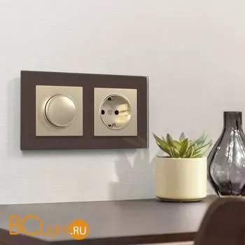 Розетка с заземлением (шампань) Werkel W1171011 a050867 - Фото 3