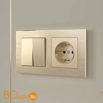 Розетка с заземлением (шампань) Werkel W1171011 a050867 - Фото 0