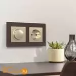 Розетка с заземлением (шампань) Werkel W1171011 a050867 - Фото 3