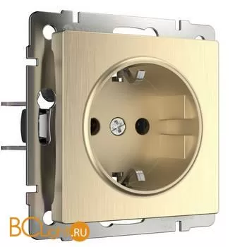 Розетка с заземлением (шампань рифленый) Werkel W1171010 a051434