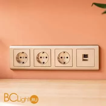 Розетка с заземлением (шампань рифленый) Werkel W1171010 a051434 - Фото 1