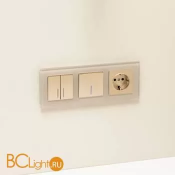 Розетка с заземлением (шампань рифленый) Werkel W1171010 a051434 - Фото 3