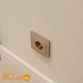 Розетка с заземлением (шампань рифленый) Werkel W1171010 a051434 - Фото 7