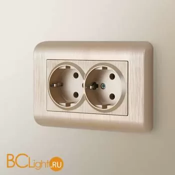 Розетка двойная с заземлением (шампань рифленый) Werkel W1172010 a051432 - Фото 1