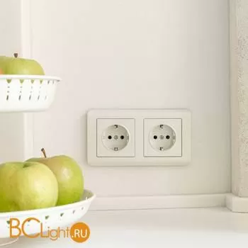 Розетка с заземлением и шторками (перламутровый рифленый) Werkel W1171113 a051188 - Фото 0