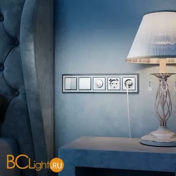 Розетка с заземлением (серебряный) Werkel W1171006 a051527 - Фото 5