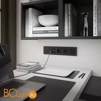 Розетка USB тип A+С (черный матовый) Werkel W1171808 a049280 - Фото 2