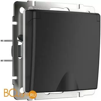 Розетка влагозащ. с зазем. с защит. крышкой и шторками (черный матовый) Werkel W1171208 a051610