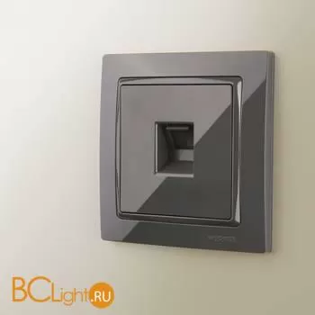 Рамка на 1 пост (серо-коричневый, basic) Werkel Snabb Basic W0012007 a051291 - Фото 0