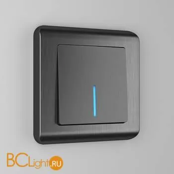 Выключатель одноклавишный проходной с подсветкой (графит рифленый) Werkel W1112104 a051687 - Фото 0