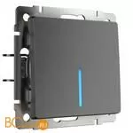 Выключатель одноклавишный проходной с подсветкой (графит рифленый) Werkel W1112104 a051687