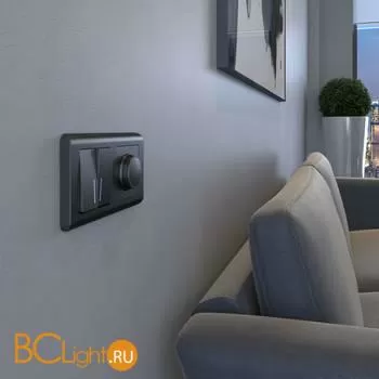 Диммер (графит рифленый) Werkel W1142004 a051686 - Фото 0