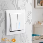 Выключатель двухклавишный проходной с подсветкой (белый) Werkel W1122101 a051112 - Фото 0