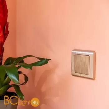 Выключатель одноклавишный (шампань рифленый) Werkel W1110010 a051426 - Фото 0