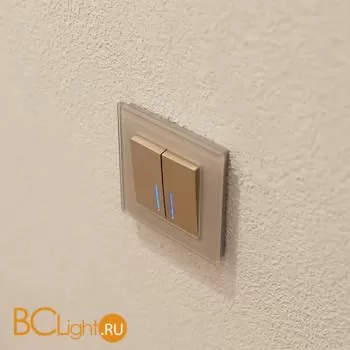 Выключатель одноклавишный с подсветкой (шампань рифленый) Werkel W1110110 a051413 - Фото 5