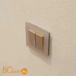 Выключатель одноклавишный с подсветкой (шампань рифленый) Werkel W1110110 a051413 - Фото 5