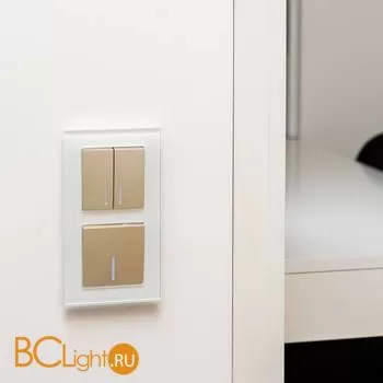 Выключатель двухклавишный с подсветкой (шампань рифленый) Werkel W1120110 a051414 - Фото 2