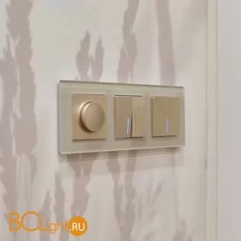 Выключатель двухклавишный проходной с подсветкой (шампань рифленый) Werkel W1122110 a051418 - Фото 4