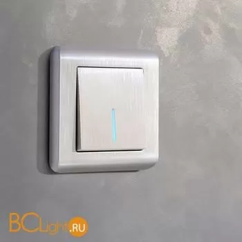 Выключатель одноклавишный с подсветкой (перламутровый рифленый) Werkel W1110113 a051177 - Фото 0