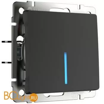 Выключатель одноклавишный с подсветкой (черный матовый) Werkel W1110108 a051599