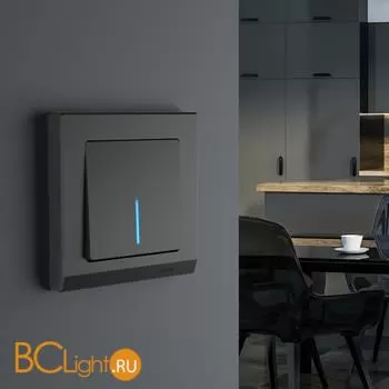 Выключатель одноклавишный с подсветкой (черный матовый) Werkel W1110108 a051599 - Фото 0