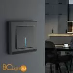 Выключатель одноклавишный с подсветкой (черный матовый) Werkel W1110108 a051599 - Фото 0