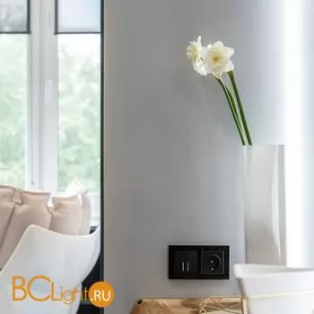 Выключатель двухклавишный проходной с подсветкой (черный матовый) Werkel W1122108 a051598 - Фото 2